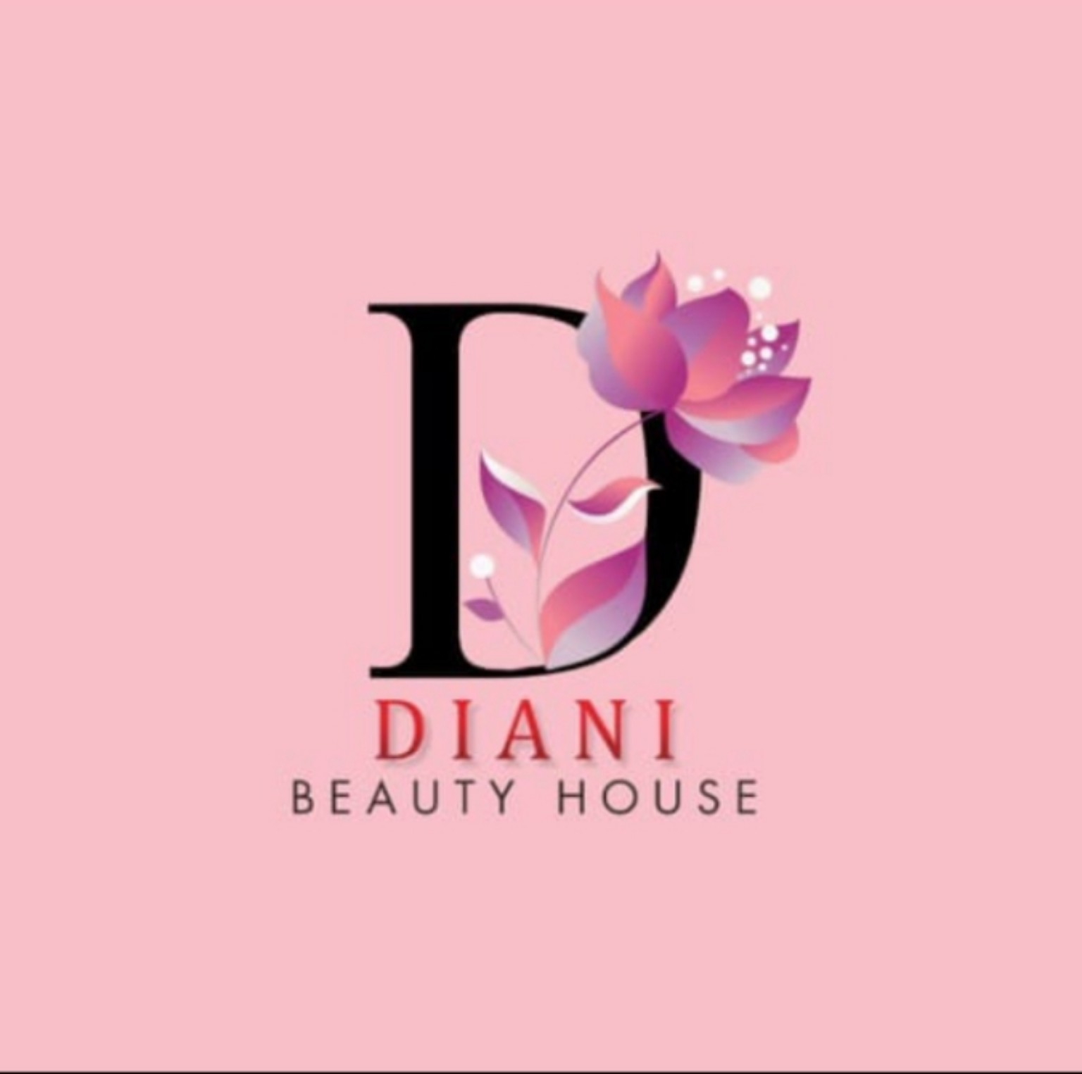 Logo Diani Beauty House